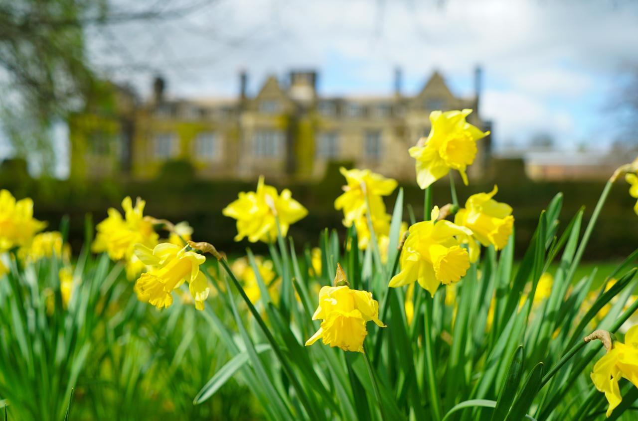 Gisborough Hall Hotel 기스버러 외부 사진